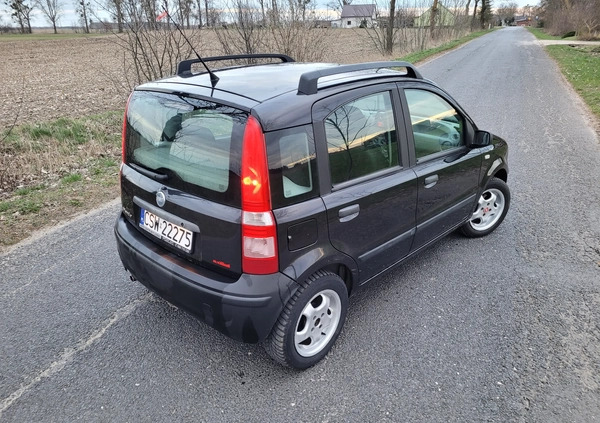 Fiat Panda cena 7900 przebieg: 158000, rok produkcji 2004 z Chełmno małe 352